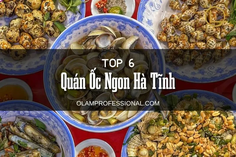 Khám Phá 6 Quán Ốc Ngon Hà Tĩnh - Điểm Đến Ẩm Thực Độc Đáo