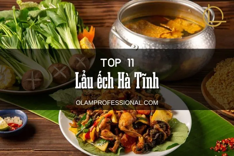 Khám Phá Lẩu Ếch Hà Tĩnh: Top 5 Quán Ngon Nhất Định Phải Thử