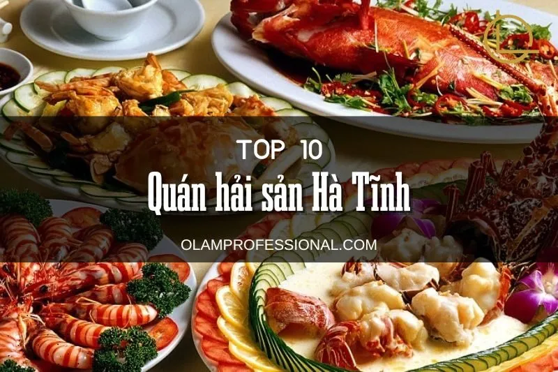 Khám Phá Top 10 Quán Hải Sản Hà Tĩnh Tươi Ngon, Giá Bình Dân