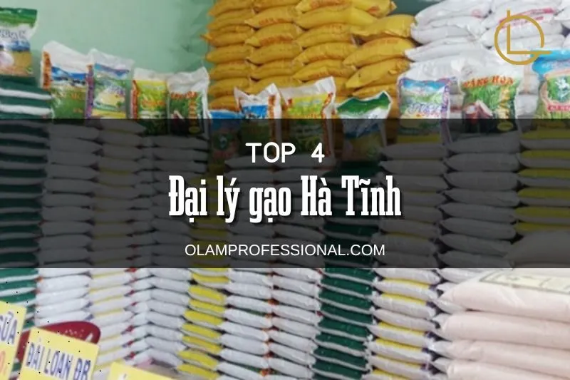 Top 4 Đại Lý Gạo Hà Tĩnh Uy Tín, Chất Lượng Bạn Không Thể Bỏ Qua