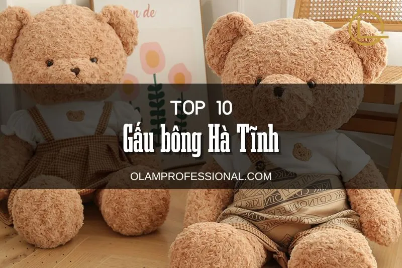 Top 6+ Địa Chỉ Mua Gấu Bông Hà Tĩnh - Chất Lượng, Giá Tốt